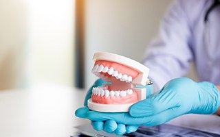 A closeup of mock dentures